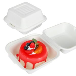6x6 Bento Box 25 Pieces BT178